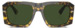 Dolce & Gabbana DG4430 Sunglasses Men's Square Shape