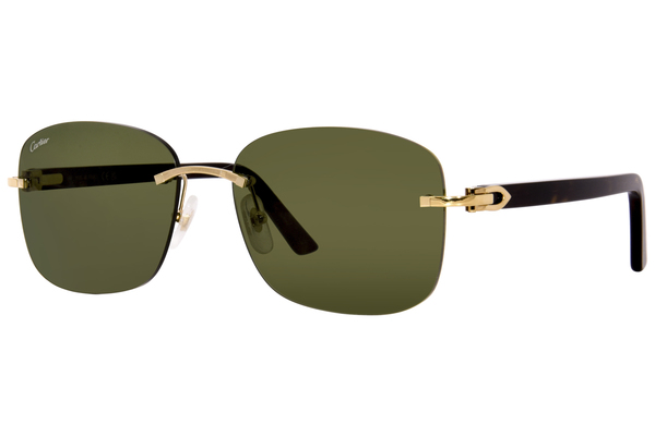  Cartier Core Range CT0227S Sunglasses Square Shape 