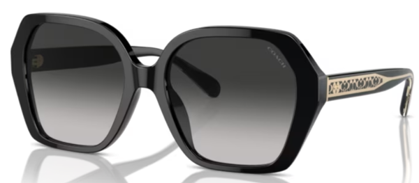 Coach factory outlet online sunglasses online