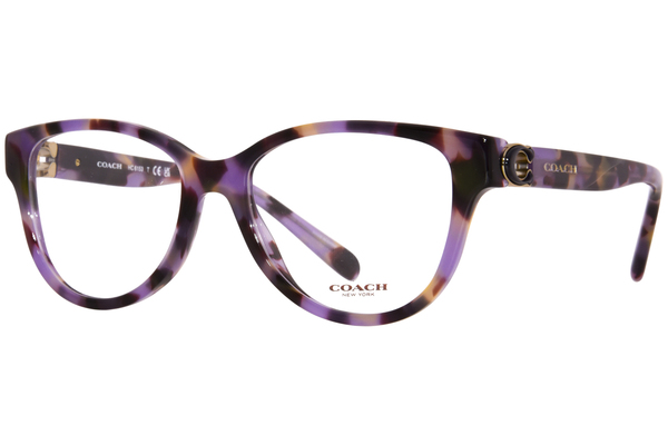 Purple tortoise eyeglasses online