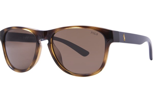  Polo Ralph Lauren PH4180U Sunglasses Men's Square With Extra 2-Set Of Temples 