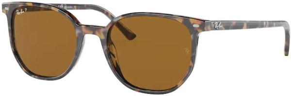  Ray Ban Elliot RB2197 Sunglasses Square Shape 