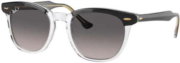  Ray Ban Hawkeye RB2298 Sunglasses Square Shape 