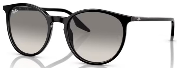  Ray Ban RB2204 Sunglasses 