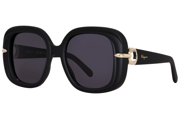  Salvatore Ferragamo SF1058S Sunglasses Women's Square Shape 