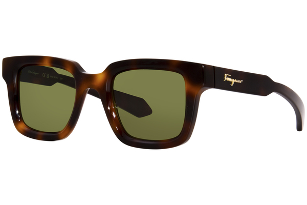  Salvatore Ferragamo SF1064S Sunglasses Men's Square Shape 