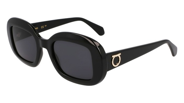  Salvatore Ferragamo SF2038SE Sunglasses Women's Oval Shape 