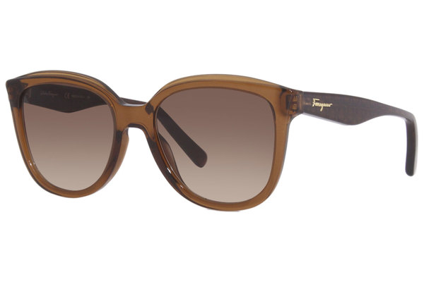  Salvatore Ferragamo SF977S Sunglasses Women's Square Shape 