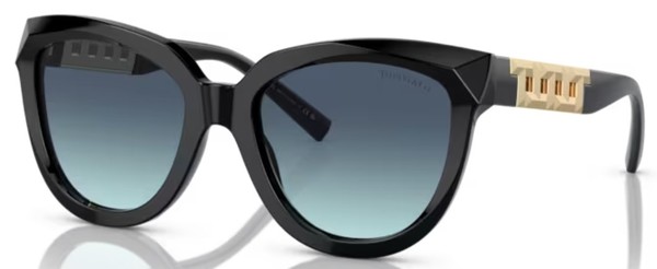  Tiffany & Co. TF4215 Sunglasses Women's Round Shape 