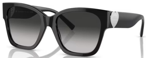  Tiffany & Co. TF4216 Sunglasses Women's Square Shape 