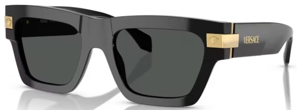  Versace VE4464 Sunglasses Men's Rectangle Shape 