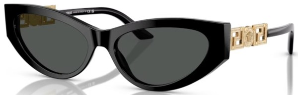  Versace VE4470B Sunglasses Women's Oval Shape 