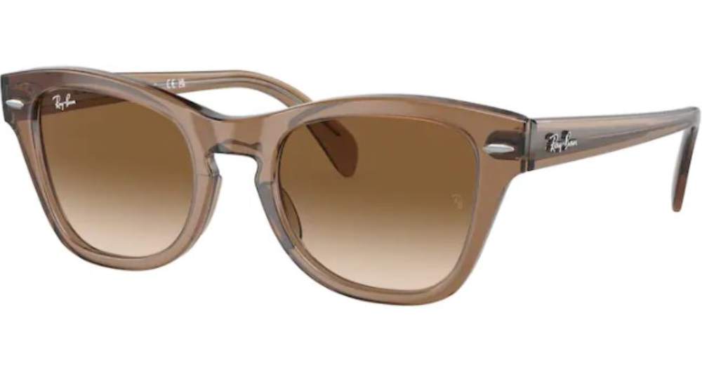 Ray ban best sale erika 50mm