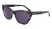 Bebe BB7254 Sunglasses Women's Cat Eye