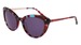 Bebe BB7258 Sunglasses Women's Cat Eye