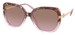 Coach C6180 HC8320 Sunglasses Women's Square Shape