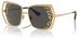 Dolce & Gabbana DG2306 Sunglasses Women's Butterfly Shape