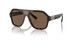 Dolce & Gabbana DG4433 Sunglasses Men's Pilot