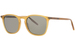 Serengeti Delio Sunglasses Full Rim Round Shape