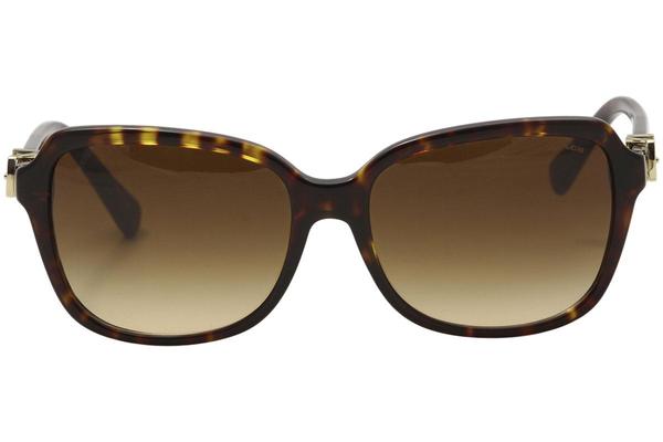 Coach hotsell sunglasses hc8179