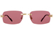 Cartier CT0271S Sunglasses Rectangle Shape