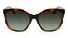 Salvatore Ferragamo SF1026S Sunglasses Women's Butterfly Shape