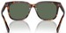 Polo Ralph Lauren PH4210 Sunglasses Men's Square Shape