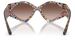 Dolce & Gabbana DG4396 Sunglasses Women's Oval Shape