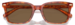 Coach CR630 HC8398U Sunglasses Men's Square Shape