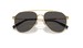 Dolce & Gabbana DG2296 Sunglasses Men's Pilot