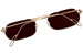 Cartier Core Range CT0112S Sunglasses Rectangle Shape