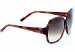 Swarovski Sunglasses SW 15/S Havana Shades